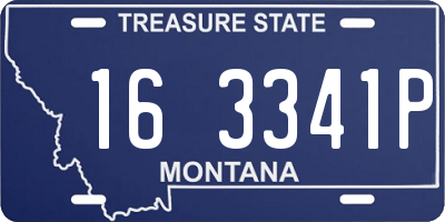 MT license plate 163341P