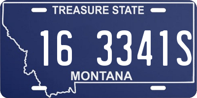 MT license plate 163341S