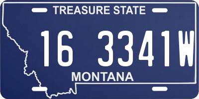 MT license plate 163341W