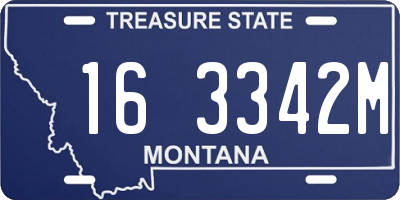 MT license plate 163342M