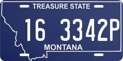 MT license plate 163342P
