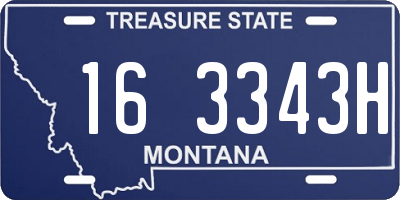 MT license plate 163343H