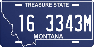MT license plate 163343M