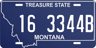 MT license plate 163344B