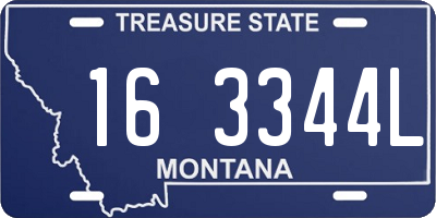 MT license plate 163344L