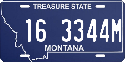 MT license plate 163344M