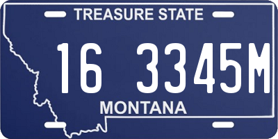MT license plate 163345M
