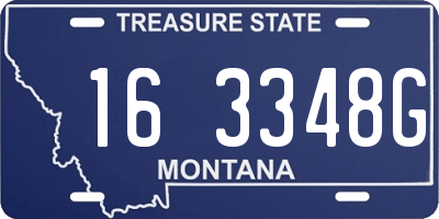 MT license plate 163348G