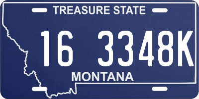 MT license plate 163348K