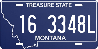 MT license plate 163348L