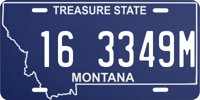 MT license plate 163349M