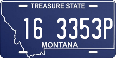 MT license plate 163353P