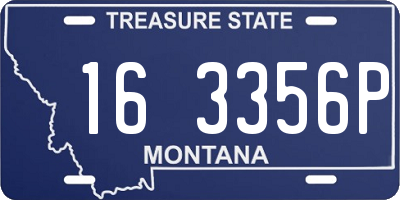 MT license plate 163356P