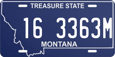MT license plate 163363M