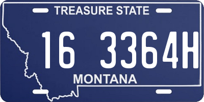 MT license plate 163364H