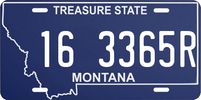 MT license plate 163365R
