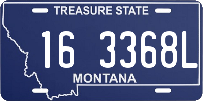 MT license plate 163368L