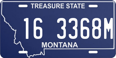 MT license plate 163368M