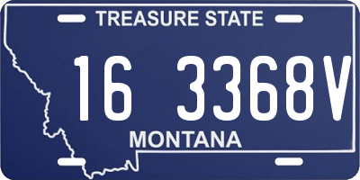 MT license plate 163368V