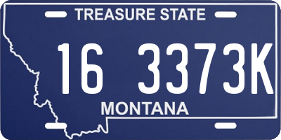 MT license plate 163373K