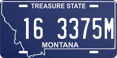 MT license plate 163375M