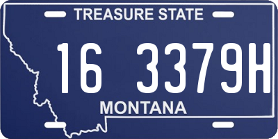 MT license plate 163379H