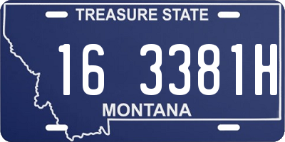 MT license plate 163381H