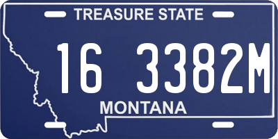 MT license plate 163382M