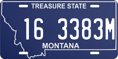 MT license plate 163383M