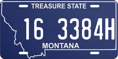 MT license plate 163384H