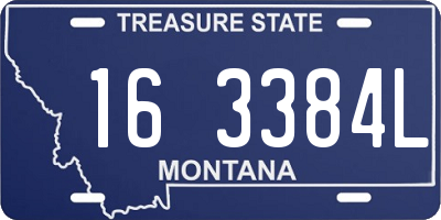 MT license plate 163384L