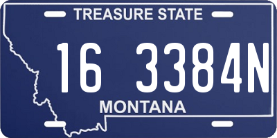MT license plate 163384N