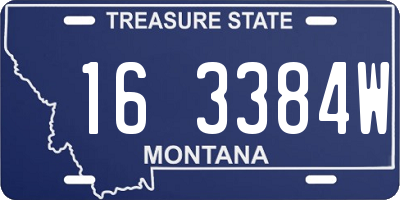 MT license plate 163384W
