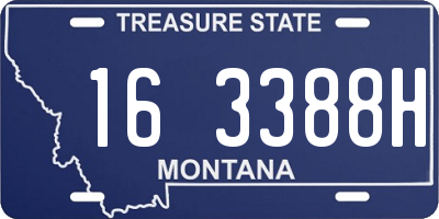 MT license plate 163388H