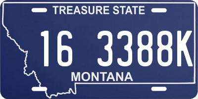 MT license plate 163388K