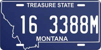 MT license plate 163388M