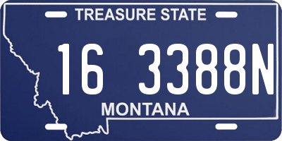 MT license plate 163388N