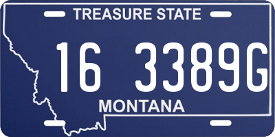 MT license plate 163389G