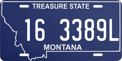 MT license plate 163389L
