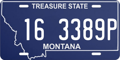 MT license plate 163389P