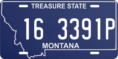 MT license plate 163391P