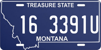 MT license plate 163391U