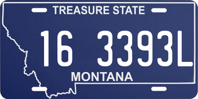 MT license plate 163393L