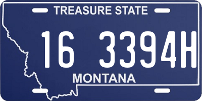 MT license plate 163394H