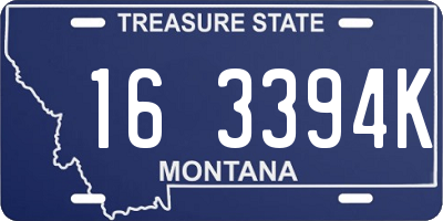 MT license plate 163394K