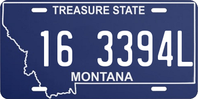 MT license plate 163394L