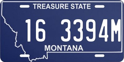 MT license plate 163394M