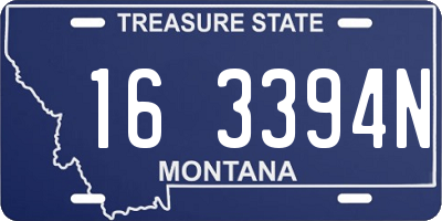 MT license plate 163394N
