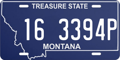 MT license plate 163394P