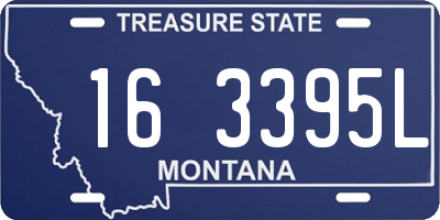 MT license plate 163395L